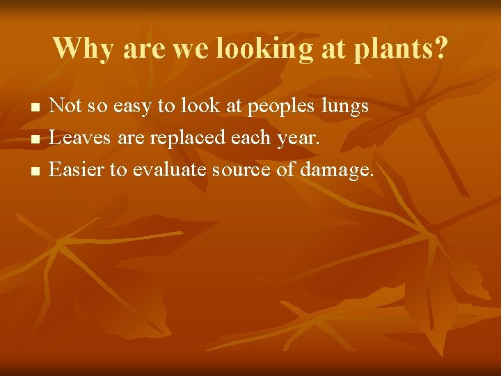 Why are we looking at plants? n n n Not so easy to look