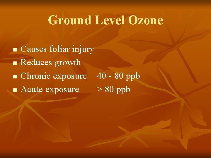 Ground Level Ozone n n Causes foliar injury Reduces growth Chronic exposure 40 -