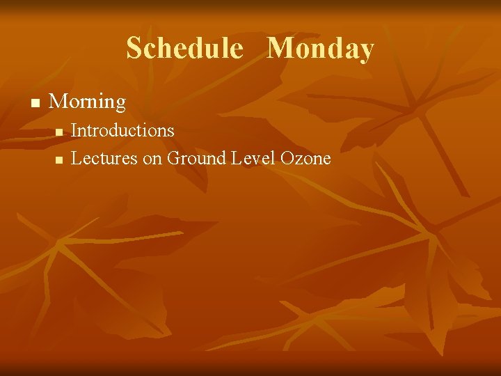 Schedule Monday n Morning n n Introductions Lectures on Ground Level Ozone 