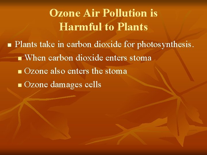 Ozone Air Pollution is Harmful to Plants n Plants take in carbon dioxide for