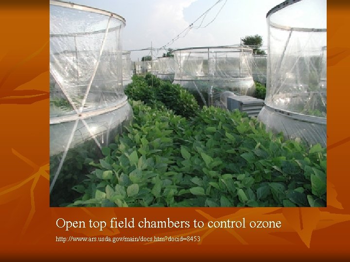 Open top field chambers to control ozone http: //www. ars. usda. gov/main/docs. htm? docid=8453