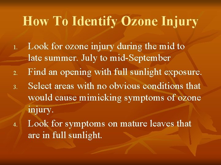 How To Identify Ozone Injury 1. 2. 3. 4. Look for ozone injury during