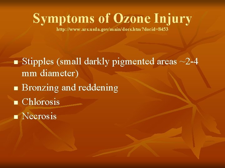 Symptoms of Ozone Injury http: //www. ars. usda. gov/main/docs. htm? docid=8453 n n Stipples