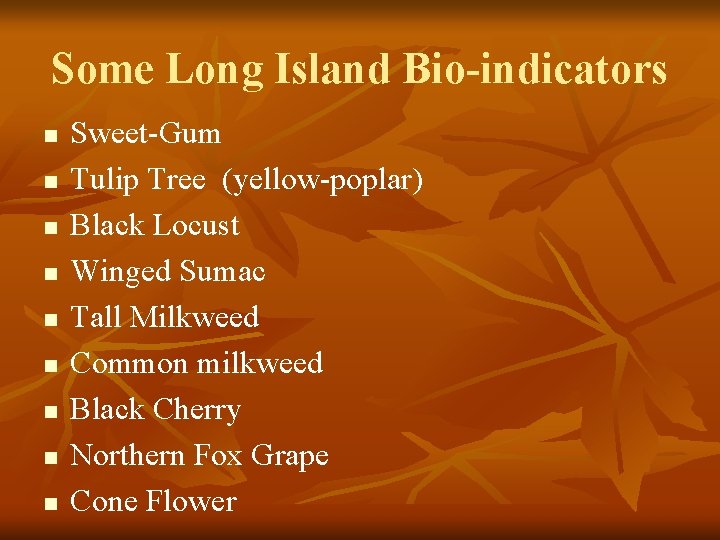 Some Long Island Bio-indicators n n n n n Sweet-Gum Tulip Tree (yellow-poplar) Black