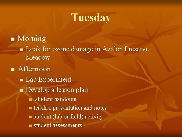 Tuesday n Morning n n Look for ozone damage in Avalon Preserve Meadow Afternoon