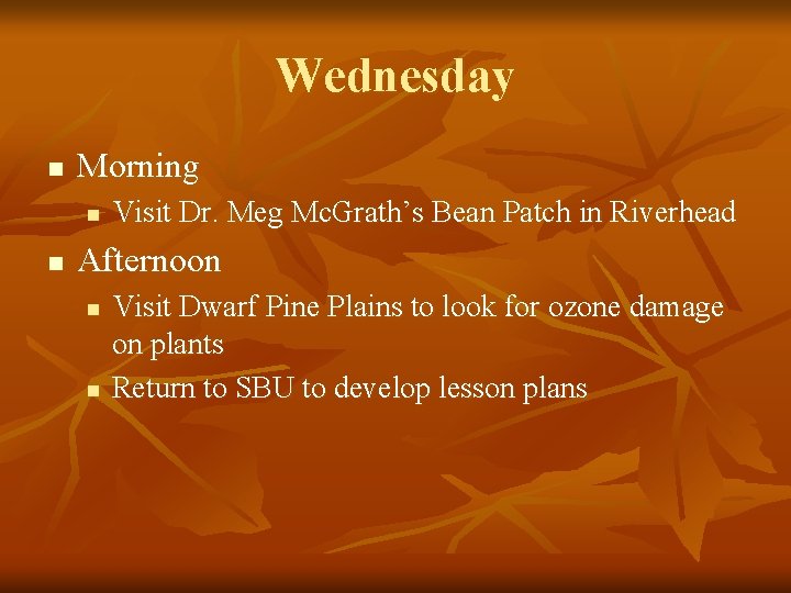 Wednesday n Morning n n Visit Dr. Meg Mc. Grath’s Bean Patch in Riverhead