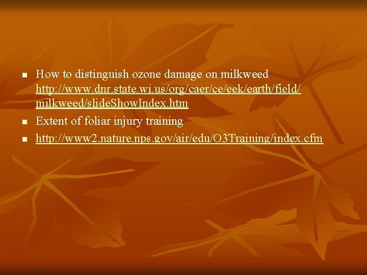 n n n How to distinguish ozone damage on milkweed http: //www. dnr. state.