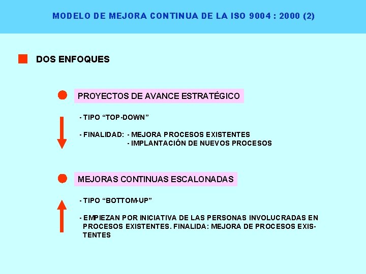 MODELO DE MEJORA CONTINUA DE LA ISO 9004 : 2000 (2) DOS ENFOQUES PROYECTOS