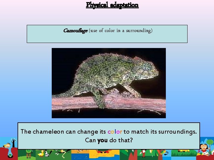 Physical adaptation Camouflage (use of color in a surrounding) The chameleon can change its