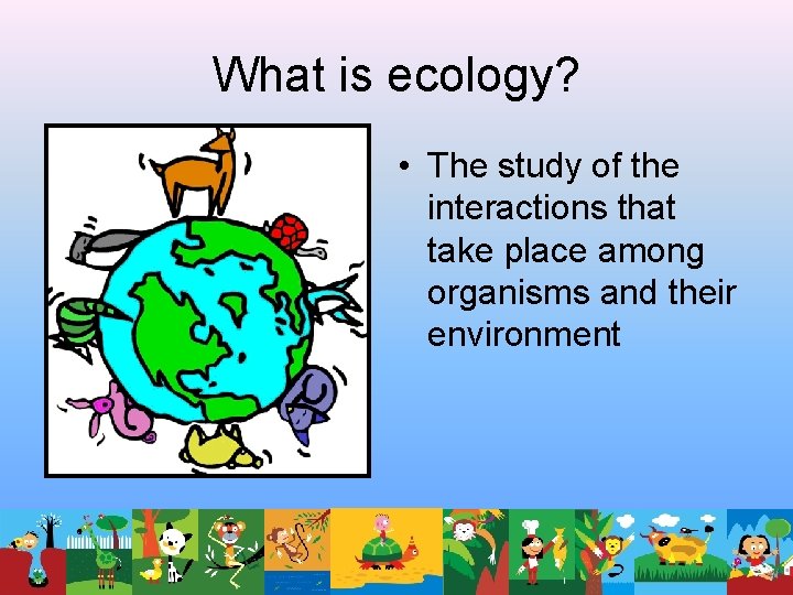 What is ecology? • The study of the interactions that take place among organisms