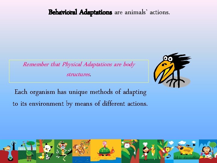 Behavioral Adaptations are animals’ actions. Remember that Physical Adaptations are body structures. Each organism