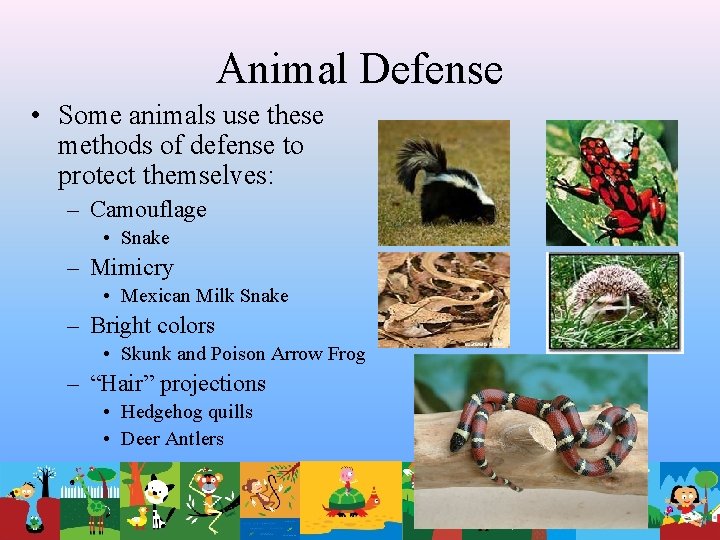 Animal Defense • Some animals use these methods of defense to protect themselves: –