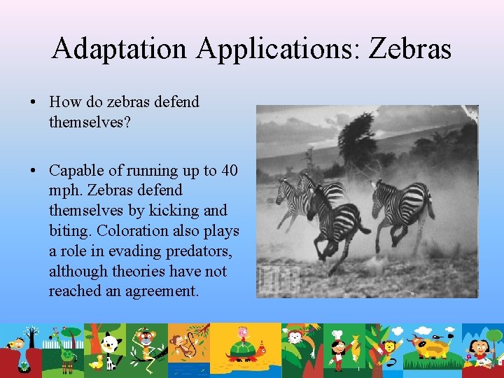 Adaptation Applications: Zebras • How do zebras defend themselves? • Capable of running up