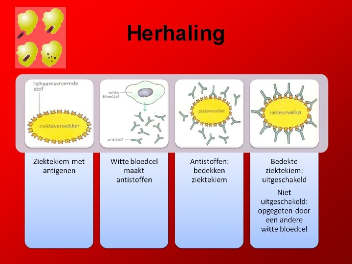 Herhaling 