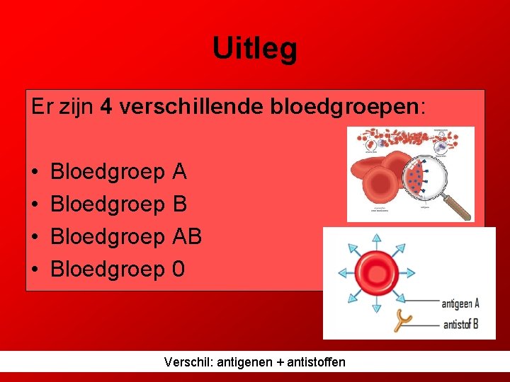 Uitleg Er zijn 4 verschillende bloedgroepen: • • Bloedgroep A Bloedgroep B Bloedgroep AB