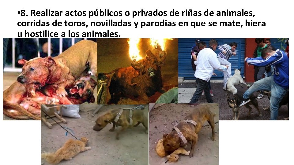 • 8. Realizar actos públicos o privados de riñas de animales, corridas de • 8. Realizar actos públicos o privados de riñas de animales, corridas de
