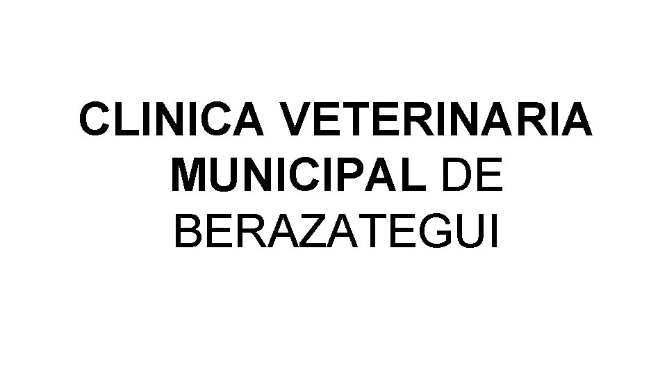 CLINICA VETERINARIA MUNICIPAL DE BERAZATEGUI CLINICA VETERINARIA MUNICIPAL DE BERAZATEGUI
