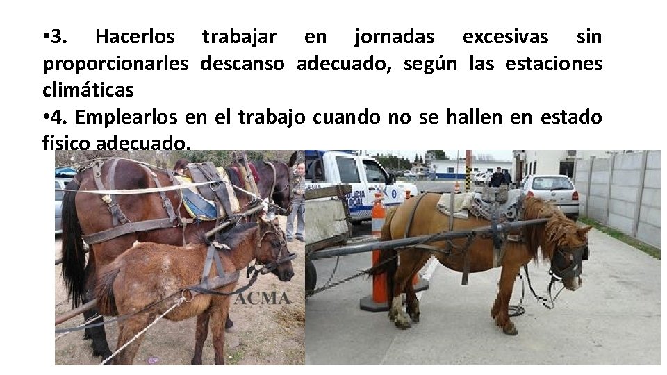 • 3. Hacerlos trabajar en jornadas excesivas sin proporcionarles descanso adecuado, según las • 3. Hacerlos trabajar en jornadas excesivas sin proporcionarles descanso adecuado, según las
