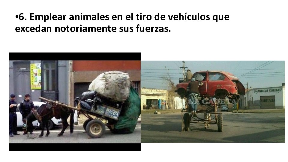 • 6. Emplear animales en el tiro de vehículos que excedan notoriamente sus • 6. Emplear animales en el tiro de vehículos que excedan notoriamente sus