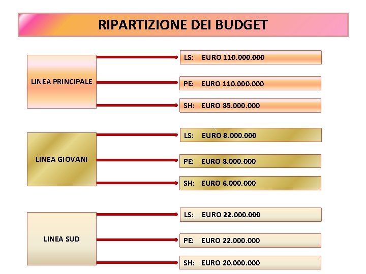 RIPARTIZIONE DEI BUDGET LS: EURO 110. 000 LINEA PRINCIPALE PE: EURO 110. 000 SH: