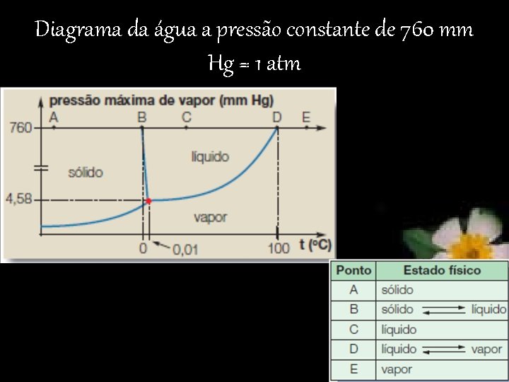 Diagrama da água a pressão constante de 760 mm Hg = 1 atm 