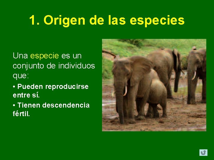 1. Origen de las especies Una especie es un conjunto de individuos que: • 1. Origen de las especies Una especie es un conjunto de individuos que: •