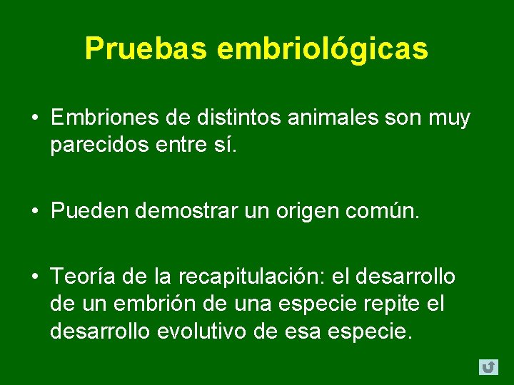 Pruebas embriológicas • Embriones de distintos animales son muy parecidos entre sí. • Pueden Pruebas embriológicas • Embriones de distintos animales son muy parecidos entre sí. • Pueden