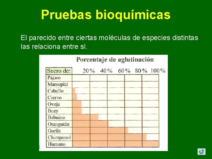 Pruebas bioquímicas El parecido entre ciertas moléculas de especies distintas las relaciona entre sí. Pruebas bioquímicas El parecido entre ciertas moléculas de especies distintas las relaciona entre sí.