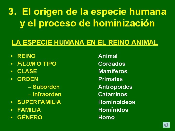 3. El origen de la especie humana y el proceso de hominización LA ESPECIE 3. El origen de la especie humana y el proceso de hominización LA ESPECIE