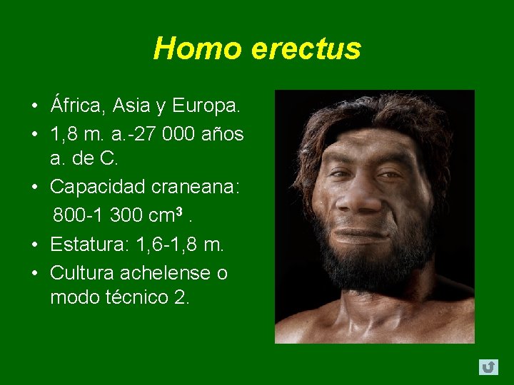 Homo erectus • África, Asia y Europa. • 1, 8 m. a. -27 000 Homo erectus • África, Asia y Europa. • 1, 8 m. a. -27 000