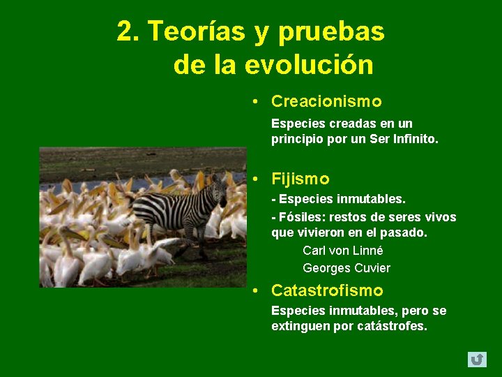 2. Teorías y pruebas de la evolución • Creacionismo Especies creadas en un principio 2. Teorías y pruebas de la evolución • Creacionismo Especies creadas en un principio