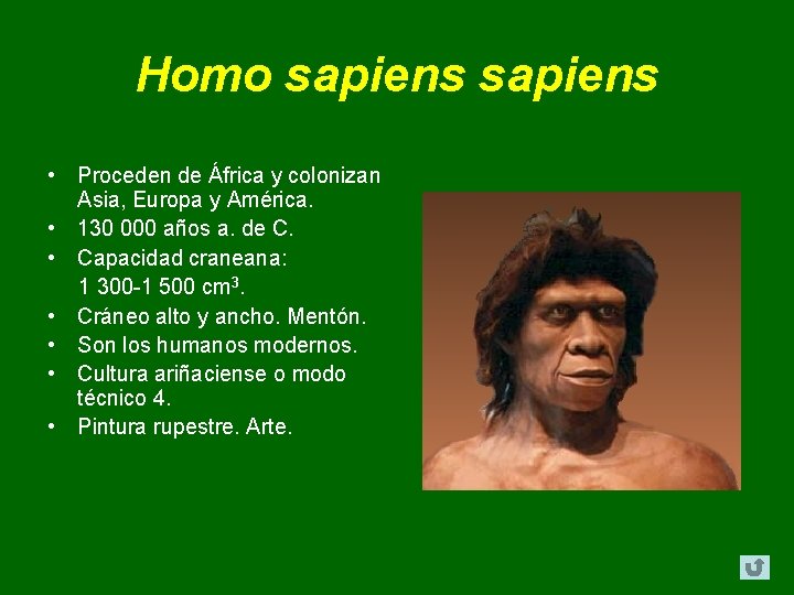 Homo sapiens • Proceden de África y colonizan Asia, Europa y América. • 130 Homo sapiens • Proceden de África y colonizan Asia, Europa y América. • 130