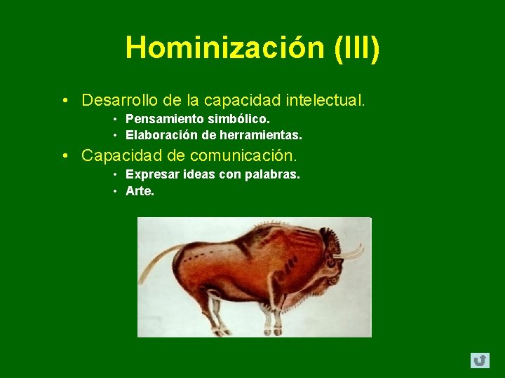 Hominización (III) • Desarrollo de la capacidad intelectual. • Pensamiento simbólico. • Elaboración de Hominización (III) • Desarrollo de la capacidad intelectual. • Pensamiento simbólico. • Elaboración de