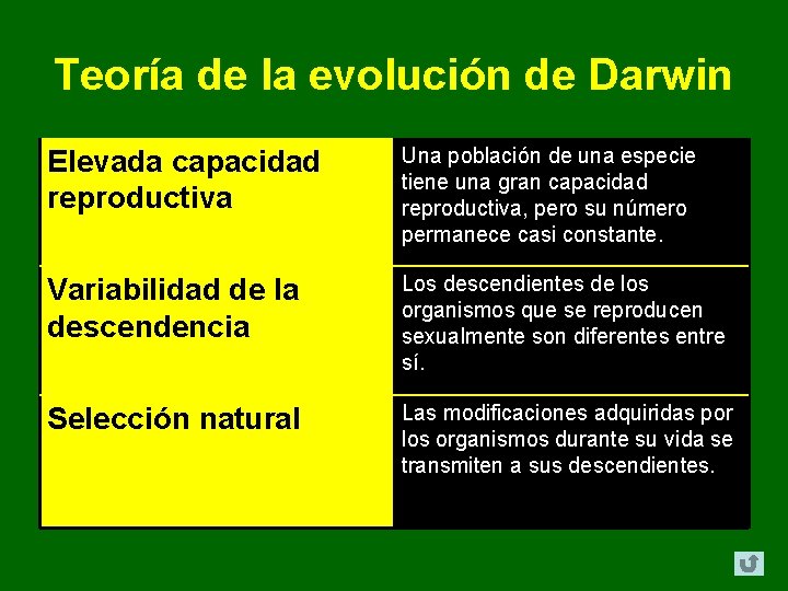 Teoría de la evolución de Darwin Elevada capacidad reproductiva Una población de una especie Teoría de la evolución de Darwin Elevada capacidad reproductiva Una población de una especie