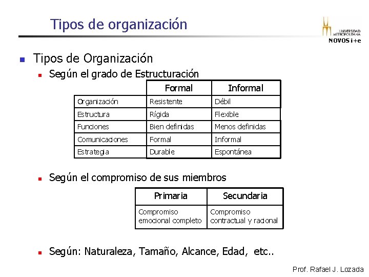 Tipos de organización NOVOS i+e n Tipos de Organización n Según el grado de Tipos de organización NOVOS i+e n Tipos de Organización n Según el grado de