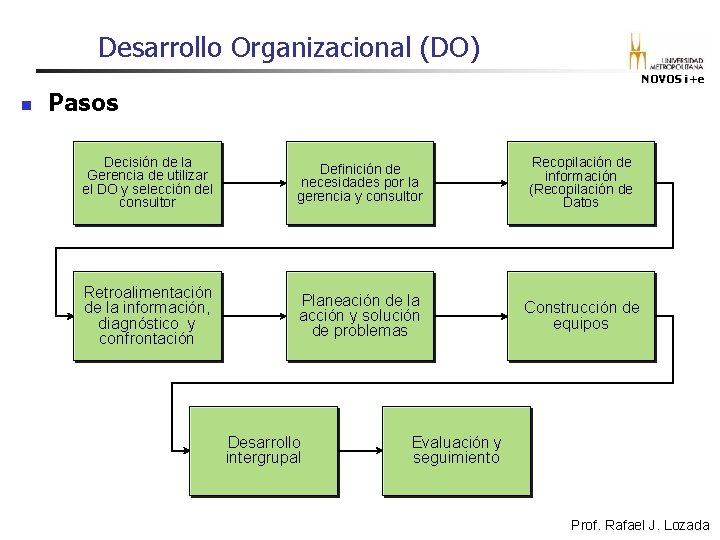 Desarrollo Organizacional (DO) NOVOS i+e n Pasos Decisión de la Gerencia de utilizar el Desarrollo Organizacional (DO) NOVOS i+e n Pasos Decisión de la Gerencia de utilizar el