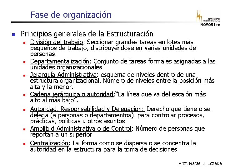 Fase de organización NOVOS i+e n Principios generales de la Estructuración n n n Fase de organización NOVOS i+e n Principios generales de la Estructuración n n n