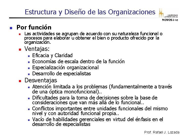 Estructura y Diseño de las Organizaciones NOVOS i+e n Por función n n Las Estructura y Diseño de las Organizaciones NOVOS i+e n Por función n n Las
