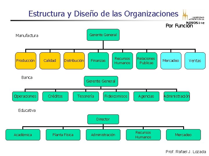 Estructura y Diseño de las Organizaciones NOVOS i+e Por Función Gerente General Manufactura Producción Estructura y Diseño de las Organizaciones NOVOS i+e Por Función Gerente General Manufactura Producción