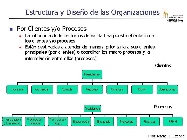Estructura y Diseño de las Organizaciones NOVOS i+e n Por Clientes y/o Procesos n Estructura y Diseño de las Organizaciones NOVOS i+e n Por Clientes y/o Procesos n