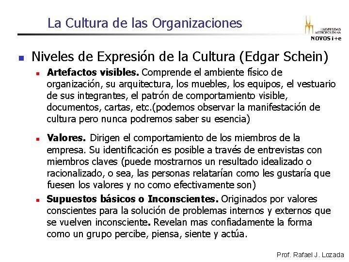 La Cultura de las Organizaciones NOVOS i+e n Niveles de Expresión de la Cultura La Cultura de las Organizaciones NOVOS i+e n Niveles de Expresión de la Cultura