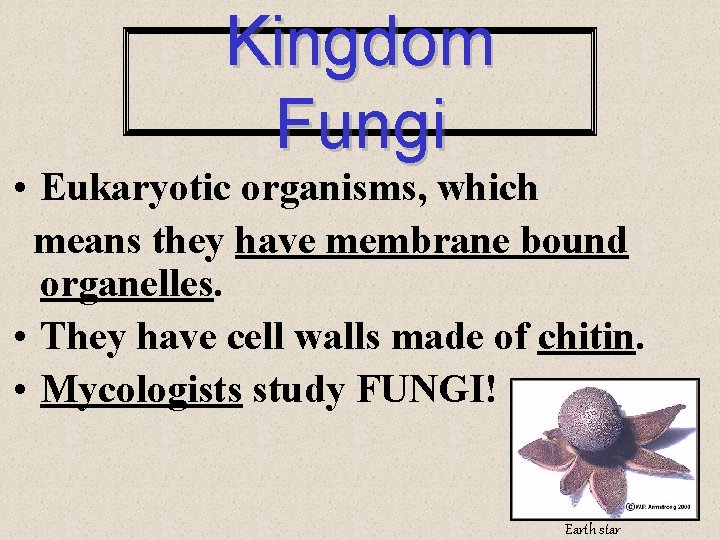 Kingdom Fungi • Eukaryotic organisms, which means they have membrane bound organelles. • They