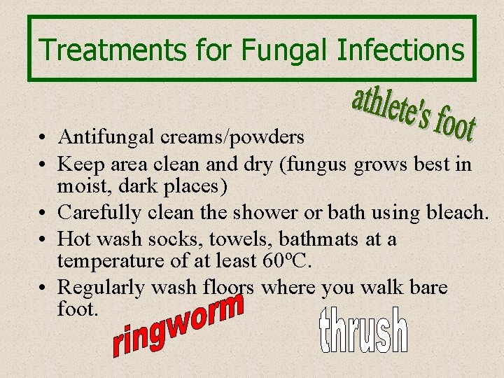 Treatments for Fungal Infections • Antifungal creams/powders • Keep area clean and dry (fungus