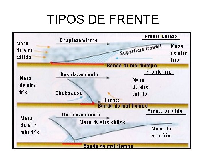 TIPOS DE FRENTE 