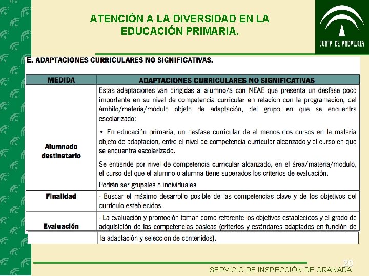 ATENCIÓN A LA DIVERSIDAD EN LA EDUCACIÓN PRIMARIA. 20 SERVICIO DE INSPECCIÓN DE GRANADA