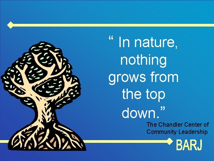 “ In nature, nothing grows from the top down. ” The Chandler Center of