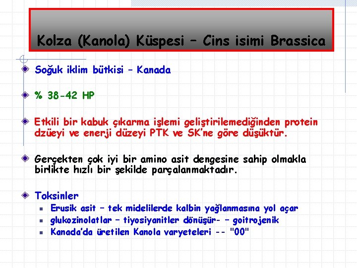 Kolza (Kanola) Küspesi – Cins isimi Brassica Soğuk iklim bütkisi – Kanada % 38