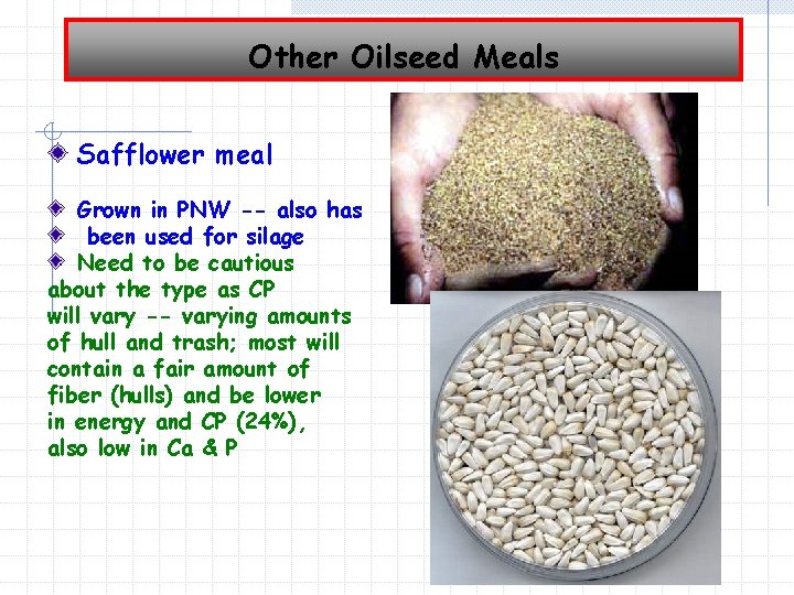Other Oilseed Meals Safflower meal Grown in PNW -- also has been used for