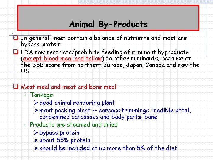 Animal By-Products q In general, most contain a balance of nutrients and most are