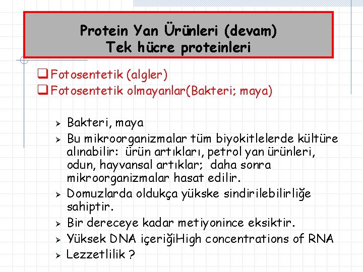 Protein Yan Ürünleri (devam) Tek hücre proteinleri q Fotosentetik (algler) q Fotosentetik olmayanlar(Bakteri; maya)
